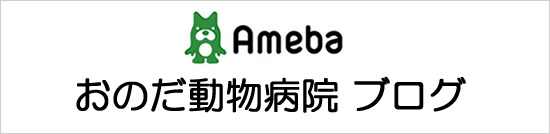 おのだ動物病院　Amebaブログ