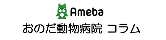 おのだ動物病院　Amebaブログ